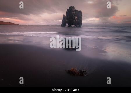 Famosa Rhino Rock chiamata Hvitserkur accanto a Osar nel Nord Islanda. Foto Stock