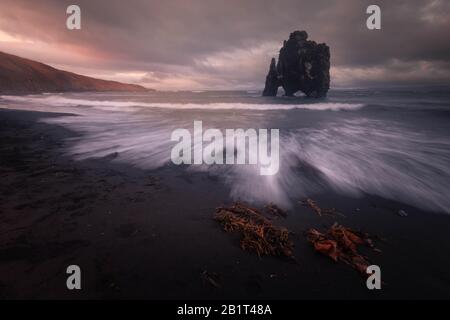 Famosa Rhino Rock chiamata Hvitserkur accanto a Osar nel Nord Islanda. Foto Stock