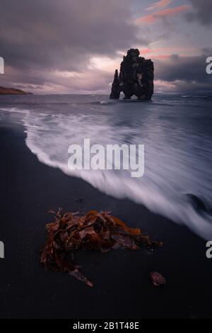 Famosa Rhino Rock chiamata Hvitserkur accanto a Osar nel Nord Islanda. Foto Stock