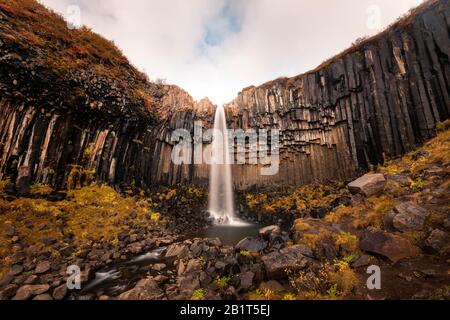 Cascata Svartifoss nel Parco Nazionale di Skaftadell nel sud dell'Islanda. Foto Stock