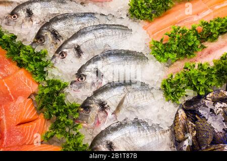 Un'esposizione di pesce fresco di orata di mare e di tagliole di salmone E altre specie nel supermercato Sainsburys nel Wiltshire UK Foto Stock