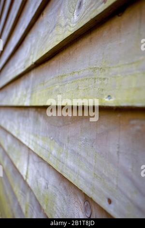 Tavole di legno in piuma da vicino Foto Stock
