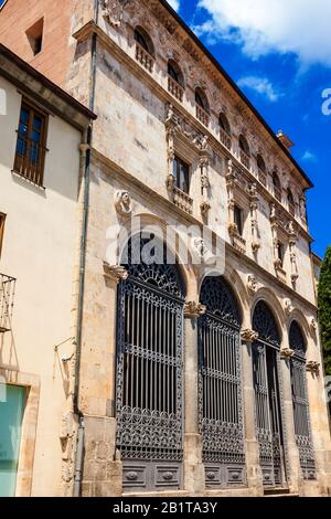 Facciata dello storico Palacio de la Salina in stile plateresco con elementi italiani costruito nel 1538 nel centro di Salamanca Foto Stock