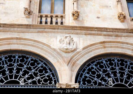 Facciata dello storico Palacio de la Salina in stile plateresco con elementi italiani costruito nel 1538 nel centro di Salamanca Foto Stock