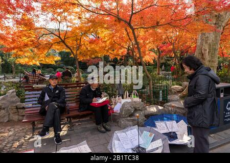 Mercato del matrimonio nel Parco di Hong Kou a Shanghai. I genitori cercano di trovare un partner per i loro figli senza equipaggio. Foto Stock