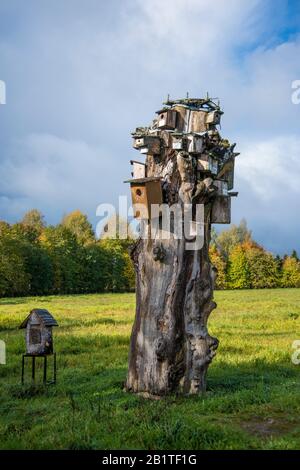 Scatole di uccelli, Lituania Foto Stock