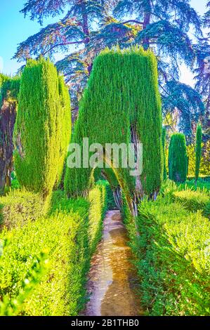 Siviglia, SPAGNA - 1 OTTOBRE 2019: La piacevole passeggiata lungo il sentiero del labirinto, il giardino piantato con un labirinto di modi fatti per un divertimento in Alcazar Gard Foto Stock