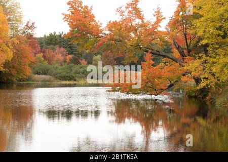 Ablze di colore, autunno nel New Hampshire. Questo e' il lato dell'Intervale Golf Club a Manchester, New Hampshire. Il fiume Merrimack corre lungo il corso. Foto Stock