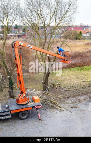 Uomo su piattaforma aerea potatura rami di albero con motosega Foto Stock