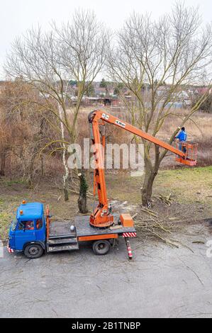 Uomo su piattaforma aerea potatura rami di albero con motosega Foto Stock