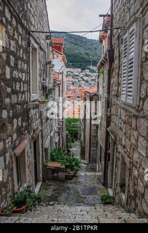 Vista sulla strada stretta con edifici in pietra, alberi, piante verdi e scale nella città vecchia di Dubrovnik. Fili che pendono da una tipica facciata croata. Foto Stock