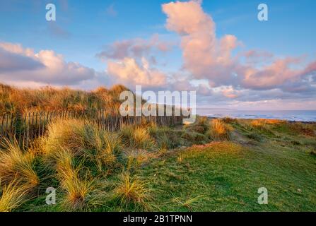 Dune di sabbia sul bordo di Westward ho! Spiaggia, parte della costa settentrionale del Devon, di straordinaria bellezza e riserva della biosfera UNESCO, erba, sabbia, Regno Unito Foto Stock