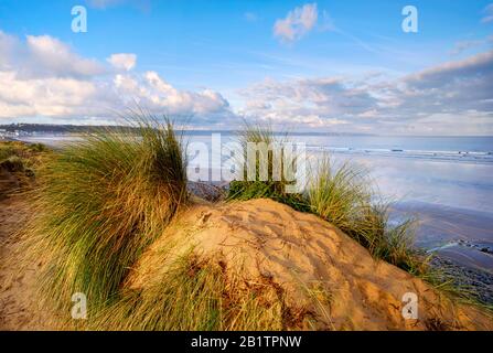 Dune di sabbia sul bordo di Westward ho! Spiaggia, parte della costa settentrionale del Devon, di straordinaria bellezza e riserva della biosfera UNESCO, erba, sabbia, Regno Unito Foto Stock