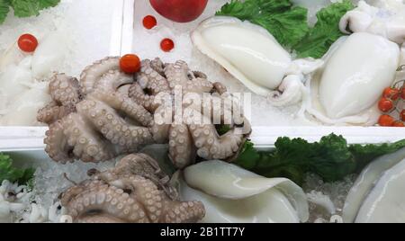 polipo appena pescato e seppie in vendita nel negozio di pescivendoli Foto Stock