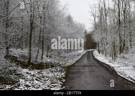 Strada invernale in Eifel, neve fresca Foto Stock