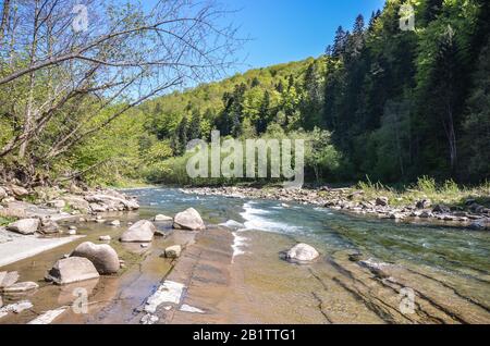 Vista sul fiume selvaggio di montagna nelle montagne Carpazi durante la soleggiata giornata estiva, Ucraina. Piccolo fiume nella foresta. Foto Stock