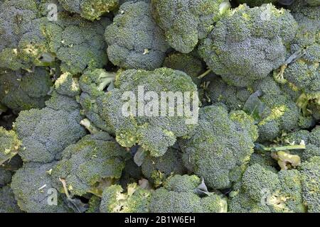 Broccoli in vendita sul mercato Foto Stock