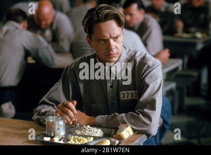 Tim Robbins, 'The Shawshank Redemption' (1994) Photo Credit: Columbia Pictures / The Hollywood Archive File Reference N° 33962-337tha Foto Stock