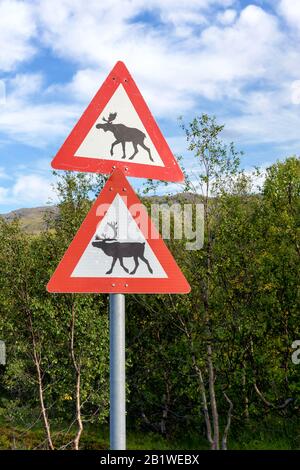 Segnale di avvertimento di alce (alci/cervi) e renne in strada in Norvegia con foresta in background Foto Stock