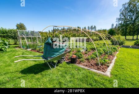 Grande borsa verde con corteccia di pino su carrello da giardino vicino al letto di fragole. Tutto il terreno è coperto da corteccia, carriola metallica Foto Stock