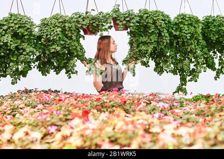 giovane donna tra fiori e piante sospese al coperto in vasi su uno sfondo chiaro Foto Stock