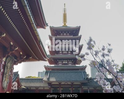 Tokyo, GIAPPONE - 20 APRILE 2018: Guardando oltre un cancello verso la pagoda storica al santuario senso-ji di tokyo Foto Stock