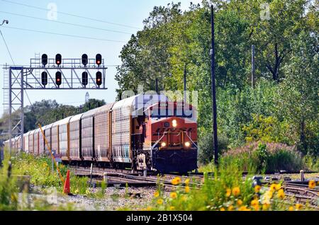 Dalton, Illinois, Stati Uniti. Un treno di trasporto a cremagliera automatica Burlington Northern Santa Fe che si muove su un percorso multi-pista occupato che attraversa un incrocio. Foto Stock