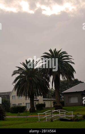 Aires de campo pampeano Foto Stock