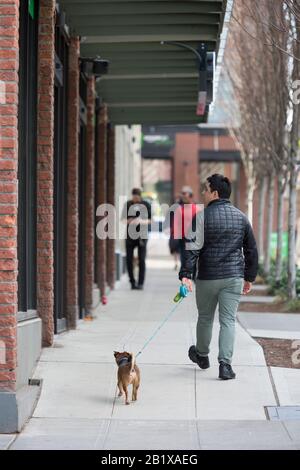 Un uomo cammina il suo cane lungo Pike Street di fronte ad Amazon Go Grocery il 27 febbraio 2020. Il primo supermercato cashierless di dimensioni standard della società tecnologica è stato inaugurato nel quartiere Capitol Hill di Seattle all’inizio della settimana. I clienti eseguono la scansione di un'app Amazon Go per accedere al negozio di 10.000 piedi quadrati, prendere i prodotti e andare senza effettuare il check-out. La "Just Walk Out Technology" di Amazon utilizza un sistema complesso di telecamere e sensori per tenere traccia degli acquisti già in uso nei loro piccoli negozi Amazon Go. Foto Stock