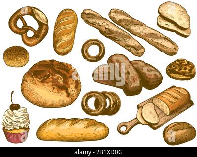 Colore pane disegnato a mano. Pane francese, ciambella fresca da forno, sesame bun e pretzel vettore illustrazione set Illustrazione Vettoriale