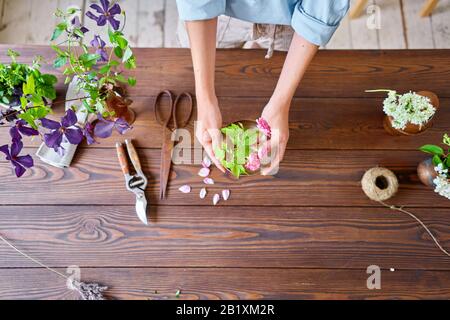 Una giovane donna fiorista creare composizioni floreali Ikebana in kenzan. Utilizza forbici e potatrice. Fiori stagionali del giardino estivo. Foto Stock