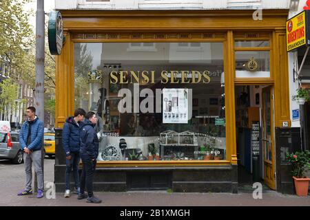 Sensi Seeds, Oudezijds Achterburgwal, Amsterdam, Niederlande Foto Stock