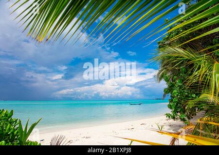 Le Maldive spiaggia di sabbia e verde fogliame palm view Foto Stock