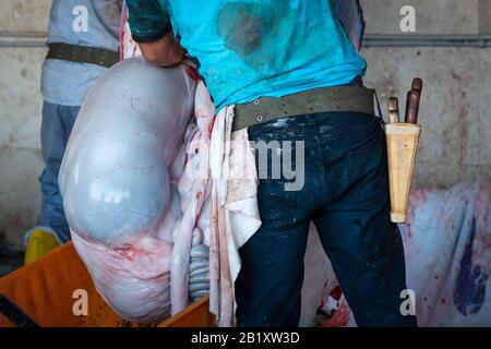 Macellaio che lavora sulla mucca subito dopo la macellazione in un macello con lo stomaco. Foto Stock