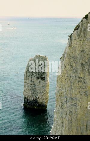 Seastack conosciuto variamente come Haystack, Turf Rickrock o il cuneo vicino Handfast Point, Dorset, Inghilterra: Sito Patrimonio dell'Umanità dell'UNESCO Jurassic Coast Foto Stock