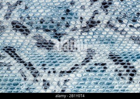 Motivo in pelle di serpente su vera pelle primo piano, imitazione di rettile esotico, superficie di colore grigio blu, sfondo alla moda. Foto Stock