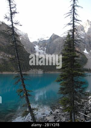 Parco Nazionale Di Banff In Alberta Canada - Lago Morraine Foto Stock