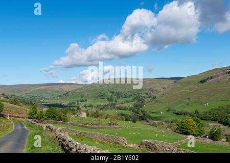 Splendida vista di Upper Swaledale con tipici prati dello Yorkshire Dales, brughiere, pareti in pietra e fienili Foto Stock