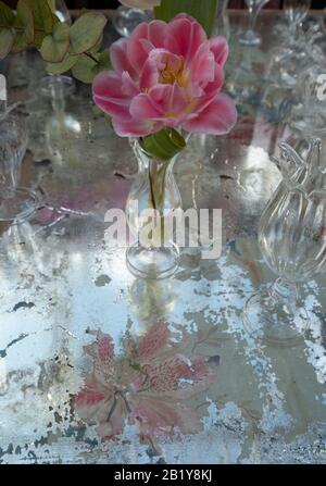 Tavolo decorato con fiori rosa azalea in vasi di cristallo di vetro. Foto Stock