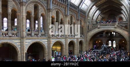 Regno Unito, Inghilterra, Londra, Museo di Storia Naturale Foto Stock