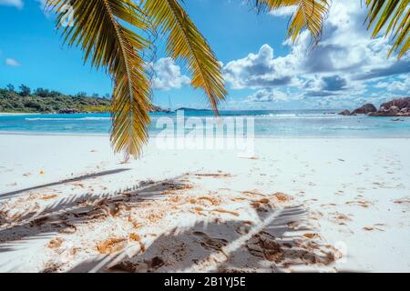 Ombra di foglie di palma alla spiaggia tropicale di Anse Cocos sull'isola di la digue, Seychelles. Concetto esotico di vacanza