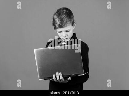 La tecnologia di informazione e comunicazione. Little Boy studio informazioni a scuola. Piccolo bambino di utilizzare il laptop. Nozioni di base di informazioni e di computer. Corsi online. Scuola di scienze dell'informazione. Foto Stock