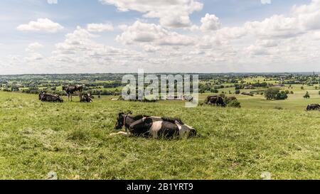 Campagna belga in una calda giornata estiva Foto Stock