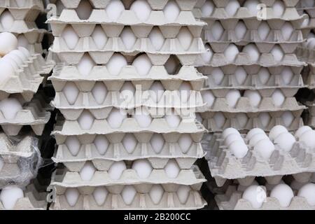 Uova bianche di pollo in scatole di cartone impilate in file in negozio. Uova in confezione. Foto Stock