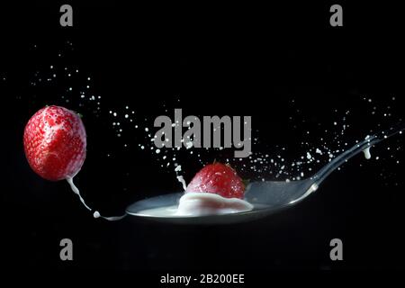 La fragola rimbalza su un cucchiaio di latte Foto Stock