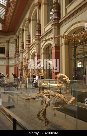 Berlino, Germania 07-07-2019 visitatori all'interno del museo di storia naturale, mostra di scheletri preistorici Foto Stock