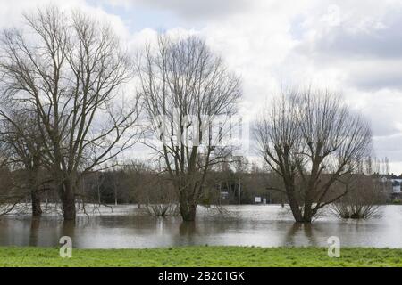 Inondazione a Tewkesbury Gloucestershire dove i fiumi Severn e Avon si incontrano - Febbraio 2020 Foto Stock