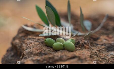 le migliori olive al mondo dagli alberi di koroneika Foto Stock