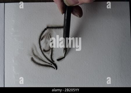 Sequenza di disegno con penna per immersione in India inchiostro su carta acquerello umida con diffusione di inchiostro. Foto Stock