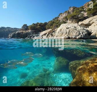 Mare Mediterraneo, costa rocciosa con pesce sott'acqua, vista su e sotto la superficie dell'acqua, Spagna, Costa Brava, Roses, Catalogna Foto Stock